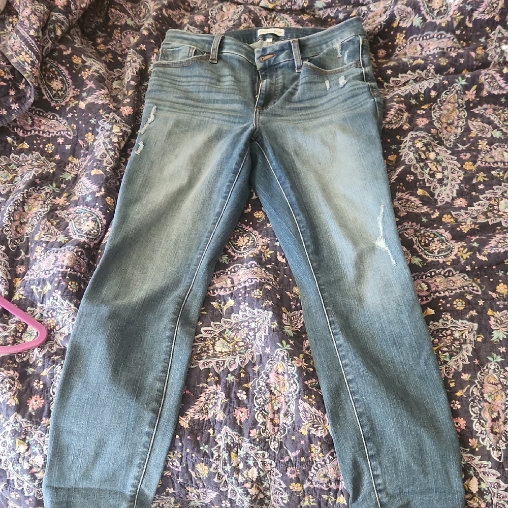 Studio Women's Classic Blue Straight Leg Jeans